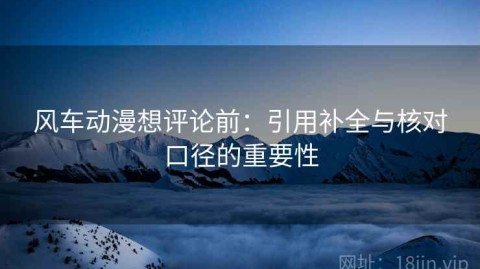风车动漫想评论前：引用补全与核对口径的重要性