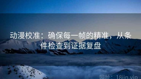 动漫校准：确保每一帧的精准，从条件检查到证据复盘