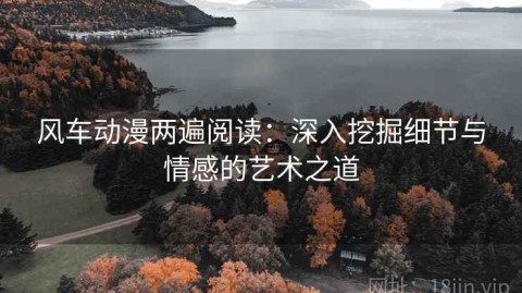 风车动漫两遍阅读：深入挖掘细节与情感的艺术之道
