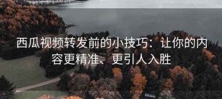 西瓜视频转发前的小技巧：让你的内容更精准、更引人入胜