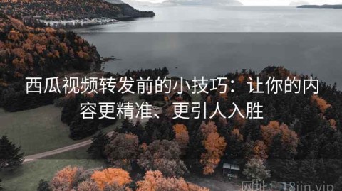 西瓜视频转发前的小技巧：让你的内容更精准、更引人入胜