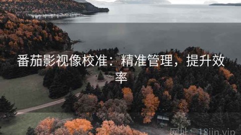 番茄影视像校准：精准管理，提升效率