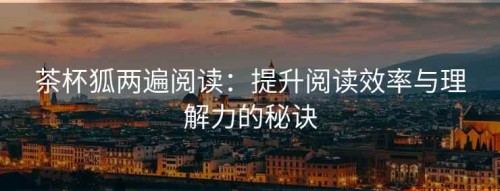 茶杯狐两遍阅读：提升阅读效率与理解力的秘诀