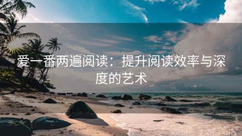 爱一番两遍阅读：提升阅读效率与深度的艺术