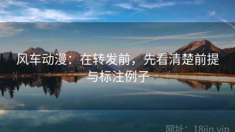 风车动漫：在转发前，先看清楚前提与标注例子