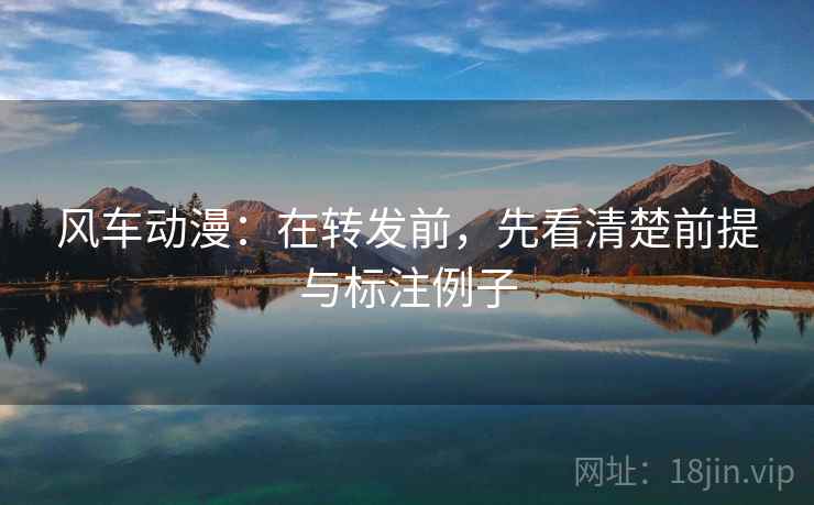 风车动漫：在转发前，先看清楚前提与标注例子