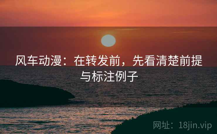 风车动漫：在转发前，先看清楚前提与标注例子