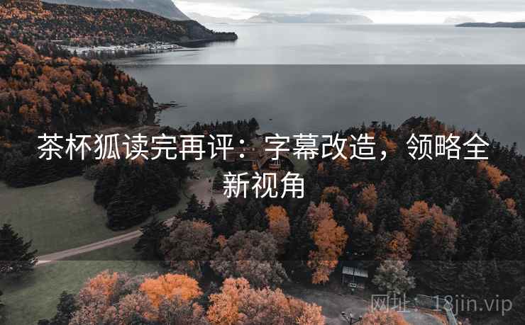 茶杯狐读完再评：字幕改造，领略全新视角